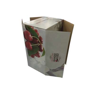 Custom design offset printing corrugated fruit vegetable package box for strawberry